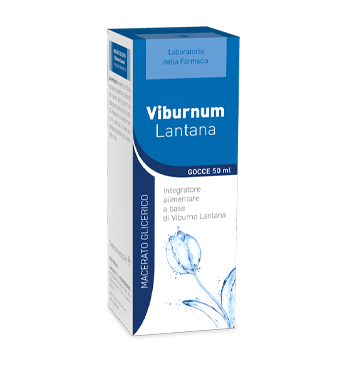 foto del prodotto Viburnum Lantana
