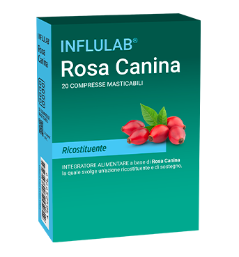 Rosa Canina